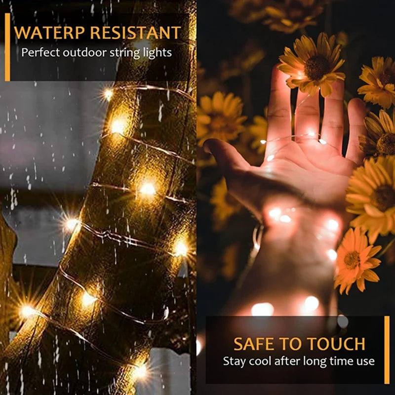 Warm White LED Photo Clip Fairy String Lights (Battery Operated)