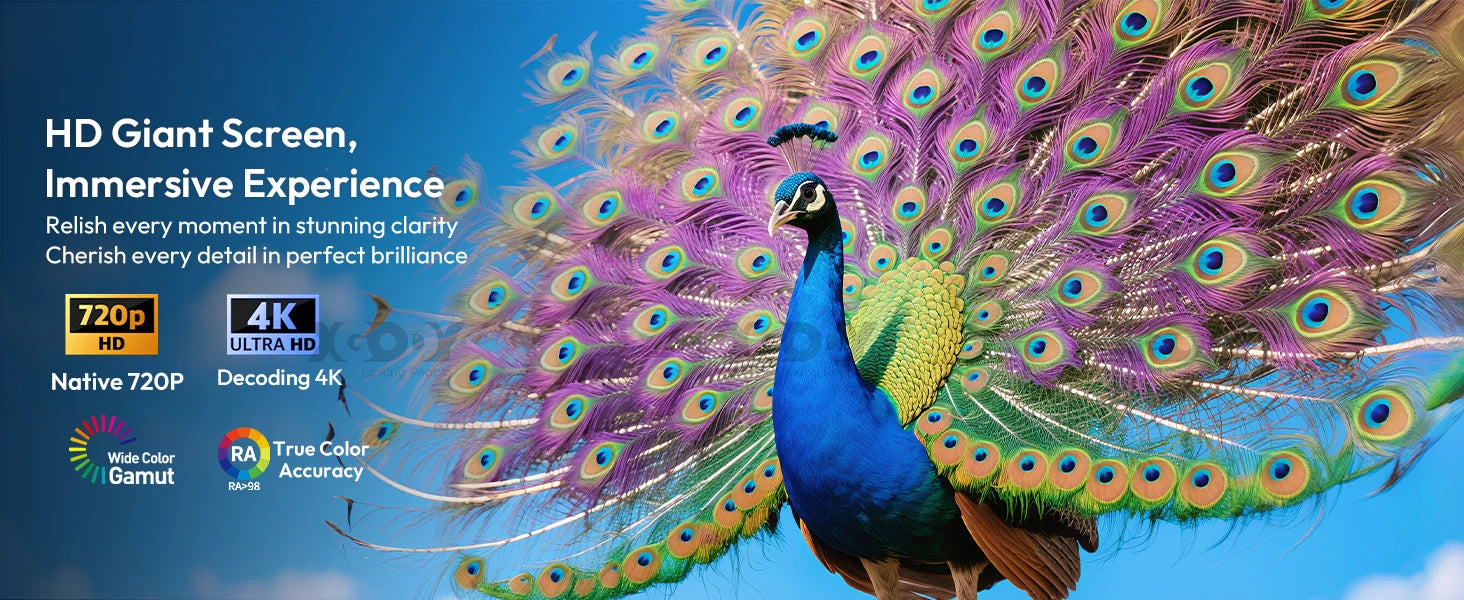 XGODY 4K/1080P LED Projector