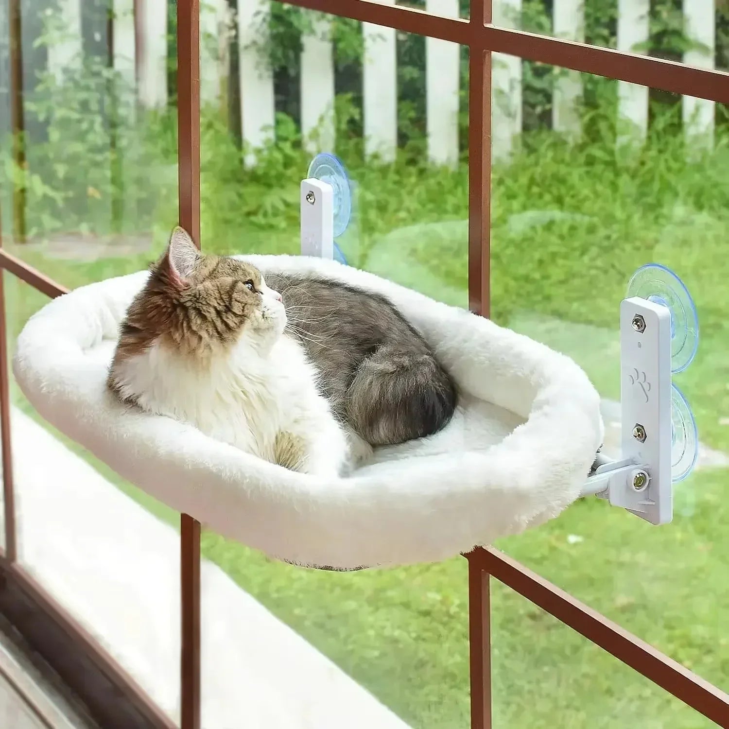 Winter Cat Hammock Window Habitat