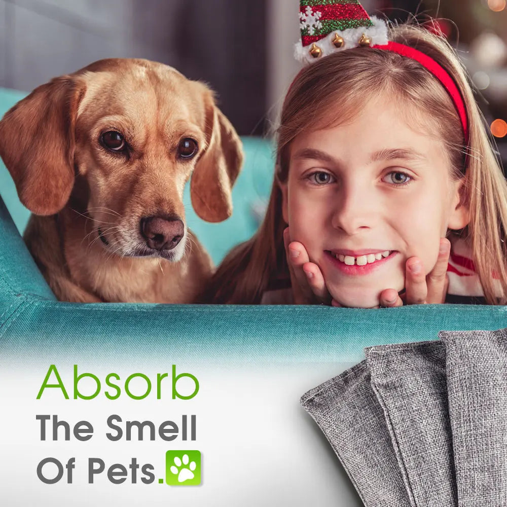 10-Pack Natural Bamboo Activated Charcoal Air Purifying & Odor Absorber Bags