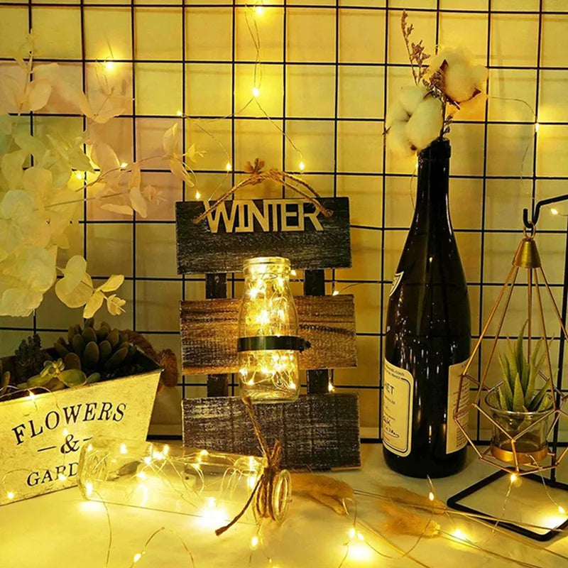 Warm White LED Photo Clip Fairy String Lights (Battery Operated)